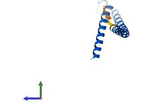 AlphaFold protein structure predicition of Mouse Recombinant Timm10b Protein, UniprotID Q9WV96