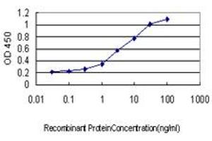 ELISA image for anti-Ubiquitin-Conjugating Enzyme E2G 2 (UBE2G2) (AA 1-88) antibody (ABIN598999) (UBE2G2 anticorps  (AA 1-88))