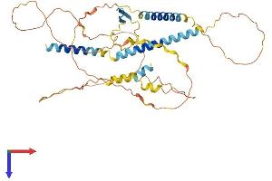 AlphaFold protein structure predicition of Mouse Recombinant Ier5l Protein, UniprotID Q99J55