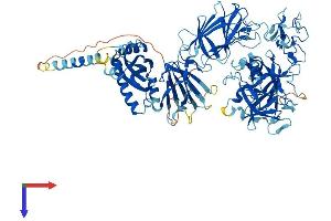 AlphaFold protein structure predicition of Mouse Recombinant Tmprss6 Protein, UniprotID Q9DBI0