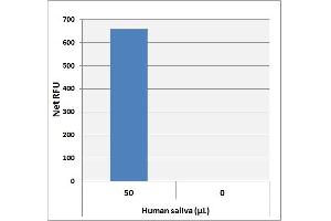 Pyruvate Detection in Human Saliva using the Pyruvate Assay Kit (Pyruvate Assay Kit)