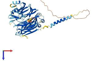 AlphaFold protein structure predicition of Mouse Recombinant Fam234a Protein, UniprotID Q8C0Z1