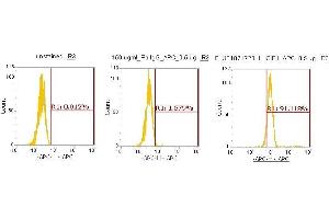 Flow Cytometry (FACS) image for anti-Calcium and Integrin-Binding Protein 1 (CIB1) (AA 1-191) antibody (APC) (ABIN5564730)