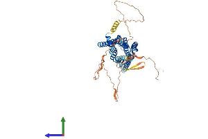 AlphaFold protein structure predicition of Human Recombinant ADRA1B Protein, UniprotID P35368