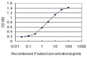 Detection limit for recombinant GST tagged SMURF1 is approximately 0.