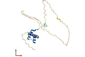 AlphaFold protein structure predicition of Mouse Recombinant Hoxb7 Protein, UniprotID P09024