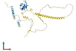 AlphaFold protein structure predicition of Human Recombinant NELFE Protein, UniprotID P18615