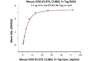 Immobilized Human B7-H2, His Tag (ABIN2181242,ABIN2181241) at 1 μg/mL (100 μL/well) can bind Mouse ICOS (C137S, C138S), Fc Tag (ABIN6923173,ABIN6938860) with a linear range of 0.