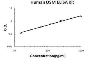 Human OSM/Oncostatin M Accusignal ELISA Kit Human OSM/Oncostatin M AccuSignal ELISA Kit standard curve. (Oncostatin M Kit ELISA)