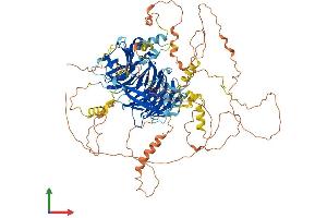 AlphaFold protein structure predicition of Mouse Recombinant Bcas3 Protein, UniprotID Q8CCN5