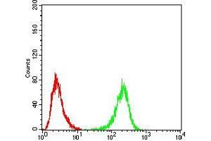 Flow cytometric analysis of Hela cells using ULK2 mouse mAb (green) and negative control (red).
