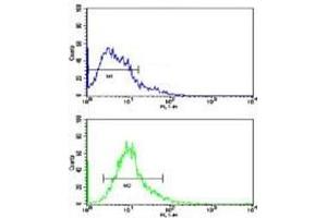 Flow cytometric analysis of Y79 cells using Beclin antibody (bottom histogram) compared to a negative control (top histogram).