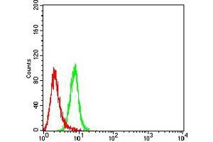 Flow cytometric analysis of Hela cells using BTLA mouse mAb (green) and negative control (red).