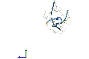 AlphaFold protein structure predicition of Mouse Recombinant Filip1l Protein, UniprotID Q6P6L0