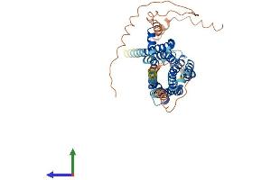 AlphaFold protein structure predicition of Human Recombinant HTR2B Protein, UniprotID P41595