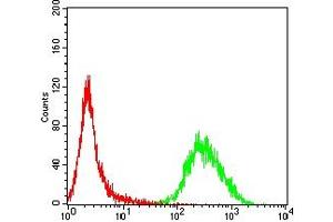 Flow cytometric analysis of MOLT4 cells using IL1B mouse mAb (green) and negative control (red).