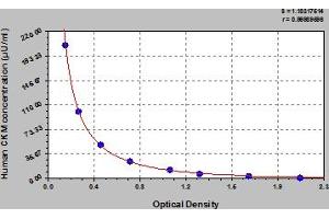 Typical Standard Curve (CKM Kit ELISA)