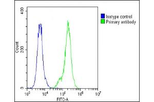 Overlay histogram showing A549 cells stained with A(green line).