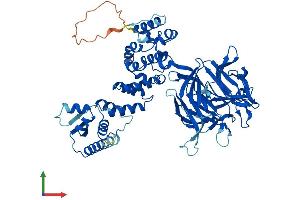 AlphaFold protein structure predicition of Mouse Recombinant Klhl40 Protein, UniprotID Q9D783