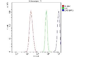 Flow Cytometry analysis of U20S cells using anti-Emerin antibody (ABIN4886569). (Emerin anticorps  (N-Term))
