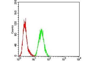 Flow cytometric analysis of Hela cells using MSH2 mouse mAb (green) and negative control (red).