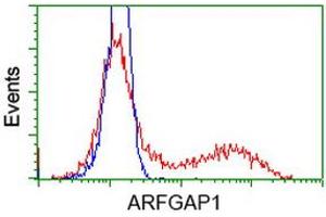Flow Cytometry (FACS) image for anti-ADP-Ribosylation Factor GTPase Activating Protein 1 (ARFGAP1) antibody (ABIN1496683) (ARFGAP1 anticorps)