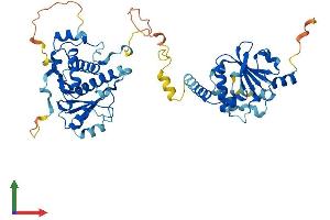 AlphaFold protein structure predicition of Human Recombinant GDAP2 Protein, UniprotID Q9NXN4