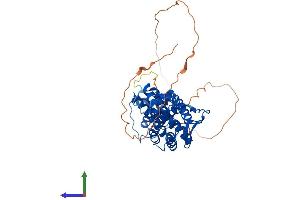 AlphaFold protein structure predicition of Human Recombinant ESRRG Protein, UniprotID P62508