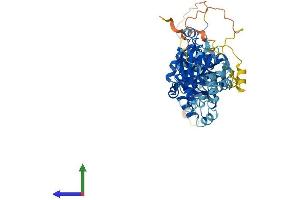 AlphaFold protein structure predicition of Human Recombinant GDAP2 Protein, UniprotID Q9NXN4