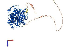 AlphaFold protein structure predicition of Human Recombinant VRK1 Protein, UniprotID Q99986