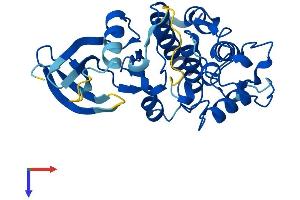 AlphaFold protein structure predicition of Mouse Recombinant Cdk5 Protein, UniprotID P49615