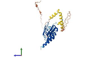 AlphaFold protein structure predicition of Mouse Recombinant Ankra2 Protein, UniprotID Q99PE2