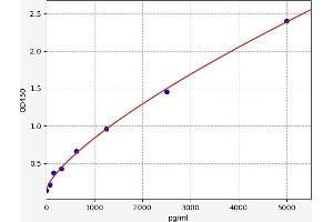 Typical standard curve (Stanniocalcin 1 Kit ELISA)