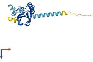 AlphaFold protein structure predicition of Human Recombinant DESI2 Protein, UniprotID Q9BSY9