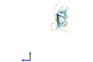 AlphaFold protein structure predicition of Mouse Recombinant Sgcb Protein, UniprotID P82349