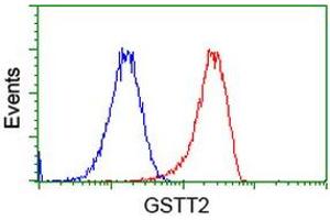 Flow cytometric Analysis of Hela cells, using anti-GSTT2 antibody (ABIN2453094), (Red), compared to a nonspecific negative control antibody (TA50011), (Blue). (GSTT2 anticorps)