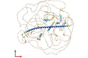 AlphaFold protein structure predicition of Mouse Recombinant Nckap5l Protein, UniprotID Q6GQX2
