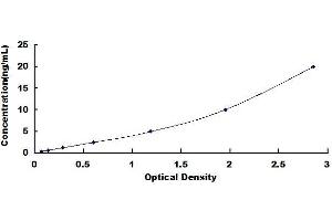 Typical standard curve