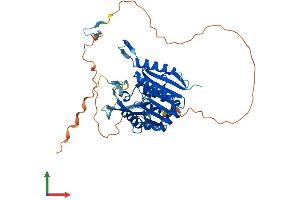 AlphaFold protein structure predicition of Human Recombinant METTL22 Protein, UniprotID Q9BUU2