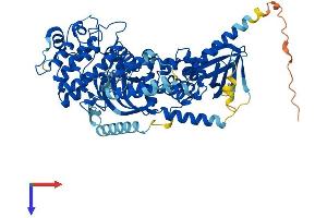 AlphaFold protein structure predicition of Mouse Recombinant Grk3 Protein, UniprotID Q3UYH7