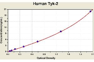 Diagramm of the ELISA kit to detect Human Tyk-2with the optical density on the x-axis and the concentration on the y-axis. (TYK2 Kit ELISA)