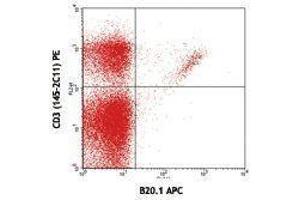 Flow Cytometry (FACS) image for anti-V alpha 2 TCR antibody (APC) (ABIN2658830) (V alpha 2 TCR anticorps (APC))