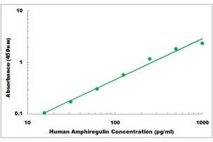 Representative Standard Curve (Amphiregulin Kit ELISA)