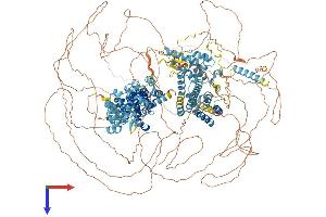 AlphaFold protein structure predicition of Mouse Recombinant Eif4g3 Protein, UniprotID Q80XI3