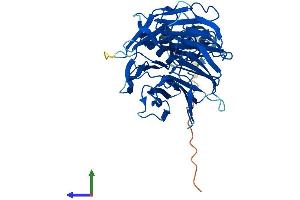 AlphaFold protein structure predicition of Mouse Recombinant Fbxw4 Protein, UniprotID Q9JMJ2