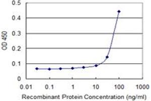 Detection limit for recombinant GST tagged FIBP is 10 ng/ml as a capture antibody. (FIBP anticorps  (AA 1-357))