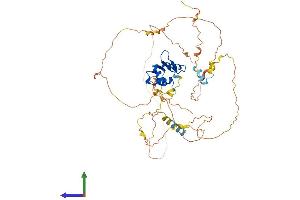 AlphaFold protein structure predicition of Human Recombinant ETV3 Protein, UniprotID P41162