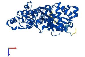 AlphaFold protein structure predicition of Human Recombinant ACTB Protein, UniprotID P60709