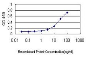 Detection limit for recombinant GST tagged DNAJB6 is approximately 1ng/ml as a capture antibody.