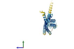 AlphaFold protein structure predicition of Human Recombinant GPM6B Protein, UniprotID Q13491